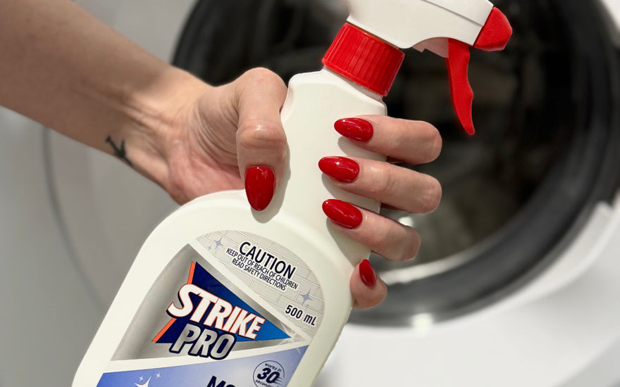 How to Remove Mould from Your Lunch Bag