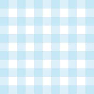 Blue Gingham