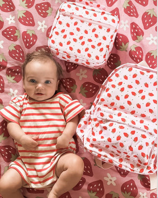 Mini Insulated Lunch Bags